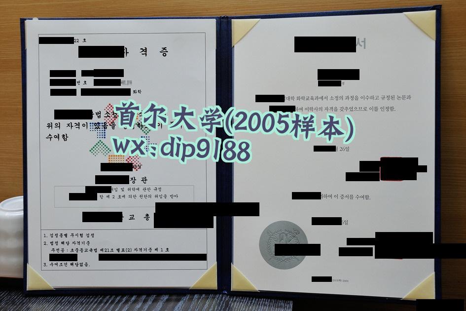 首尔大学学历2005毕业证样本图