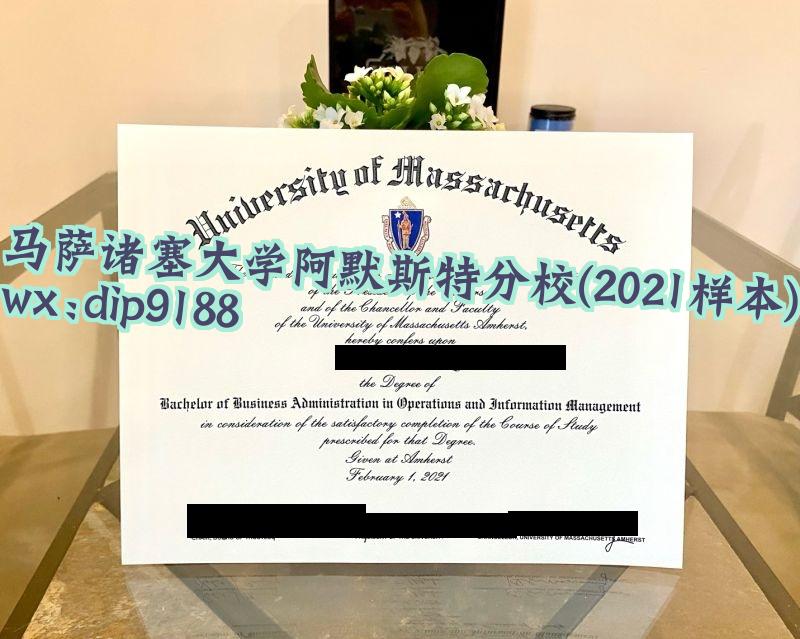 马萨诸塞大学阿默斯特分校学历2021毕业证样本图
