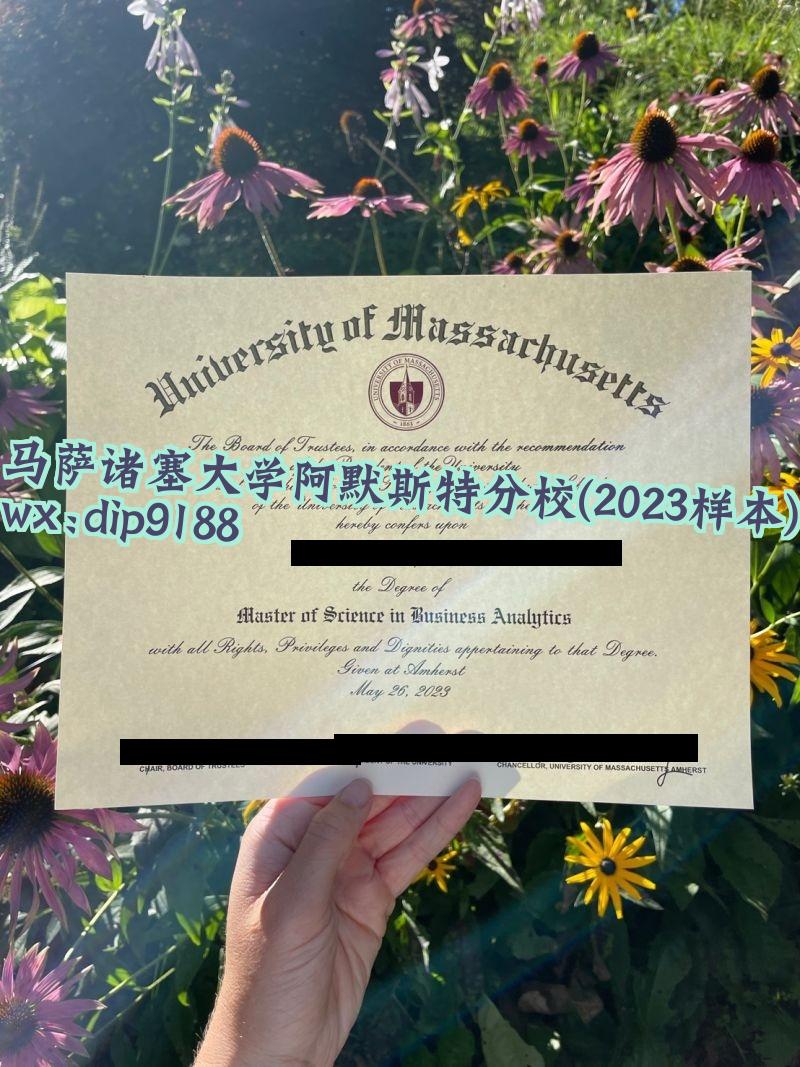 马萨诸塞大学阿默斯特分校学历2023毕业证样本图