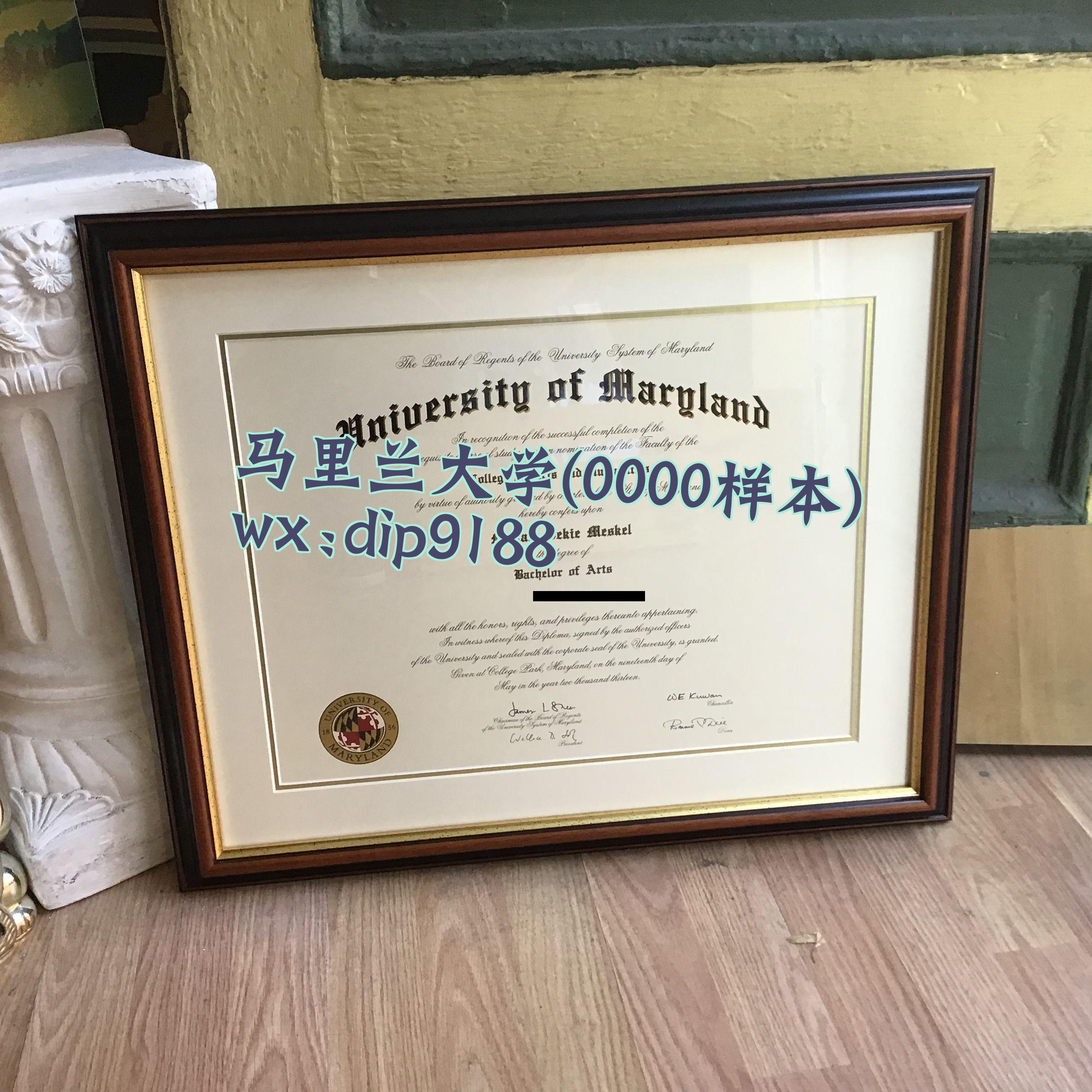 马里兰大学学历0000毕业证样本图
