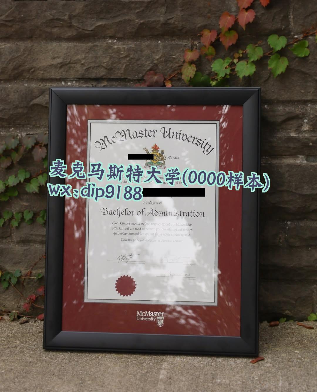 麦克马斯特大学学历0000毕业证样本图