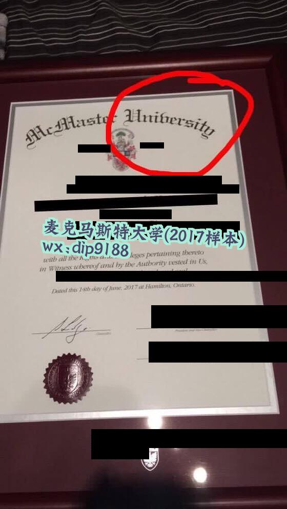 麦克马斯特大学学历2017毕业证样本图