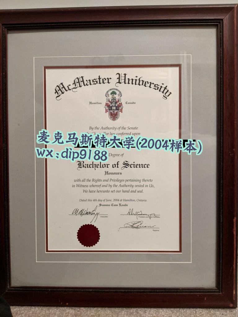 麦克马斯特大学学历2004毕业证样本图
