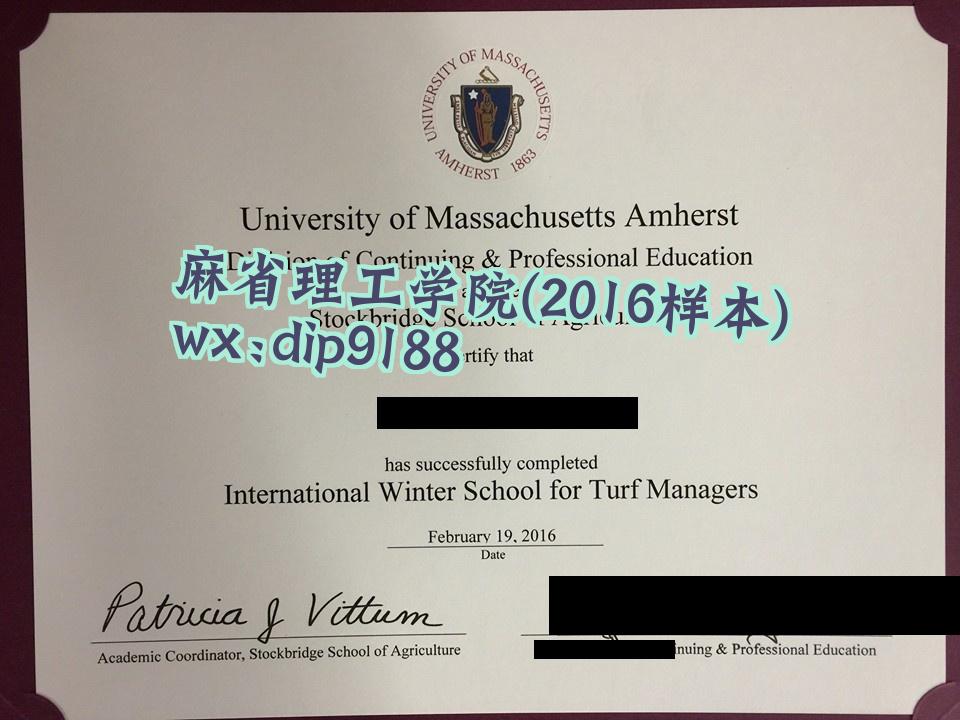 麻省理工学院学历2016毕业证样本图
