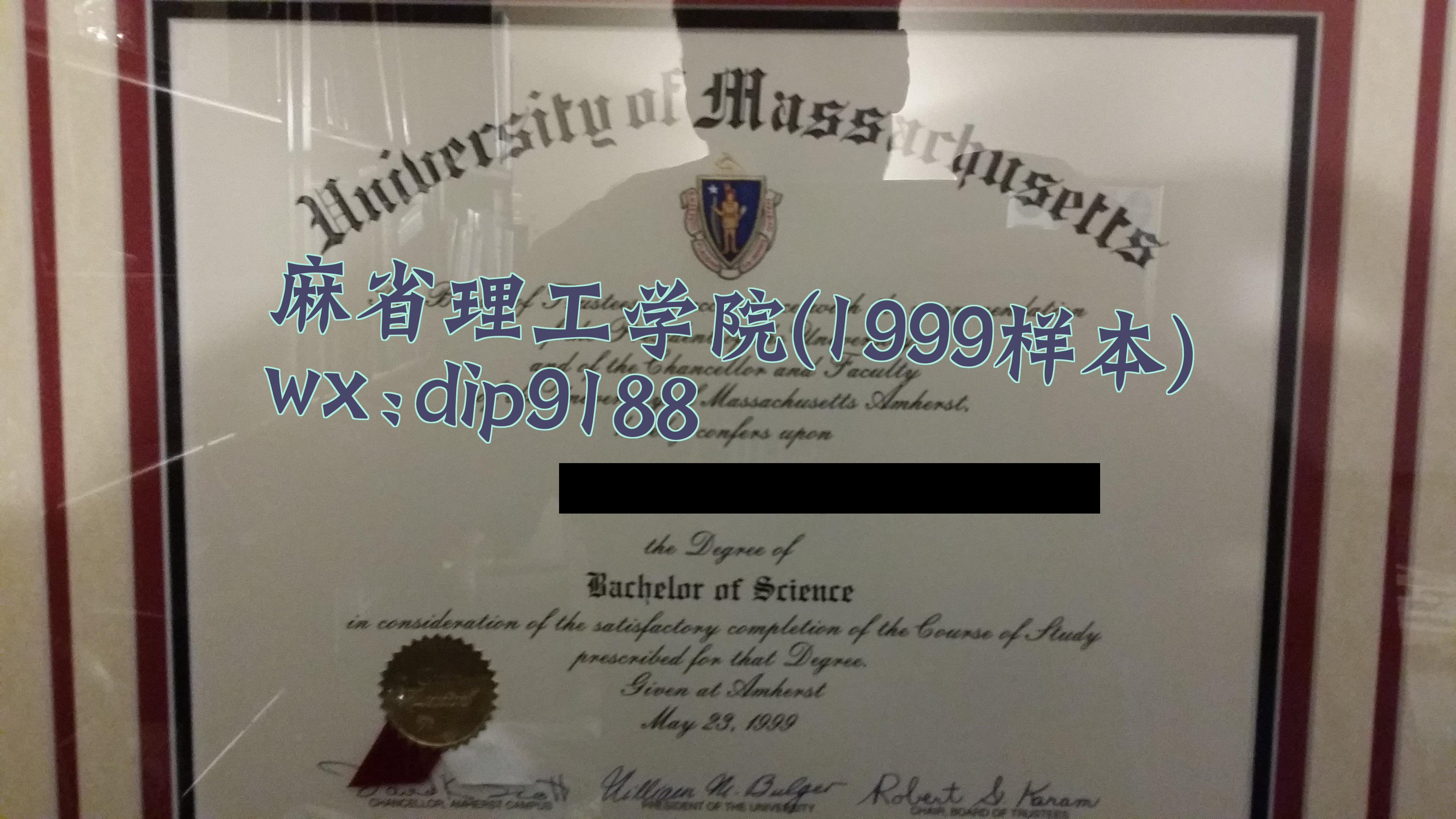 麻省理工学院学历1999毕业证样本图