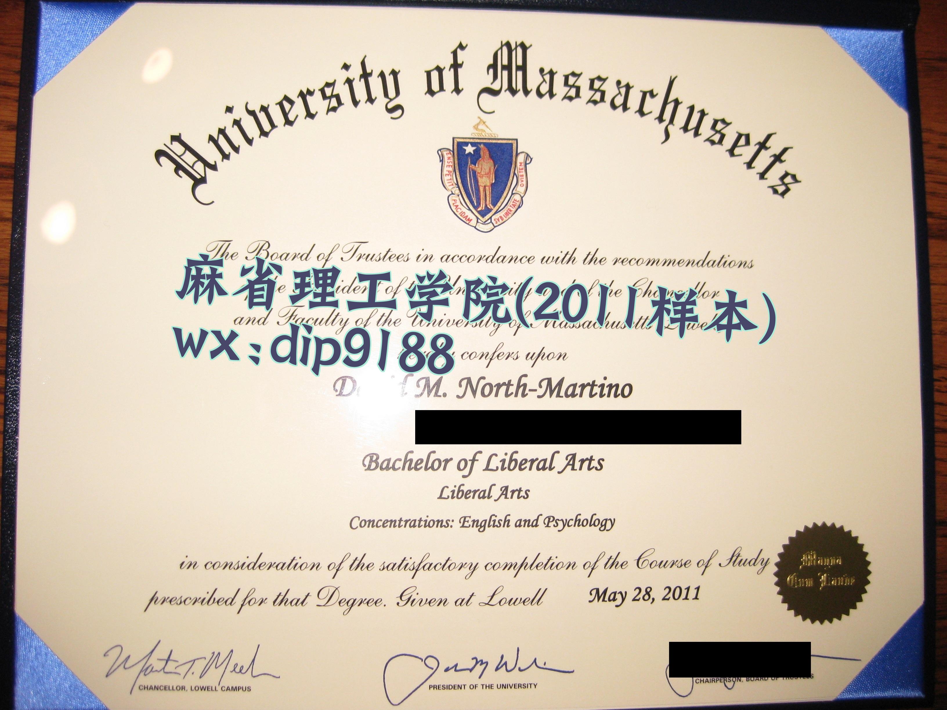 麻省理工学院学历2011毕业证样本图