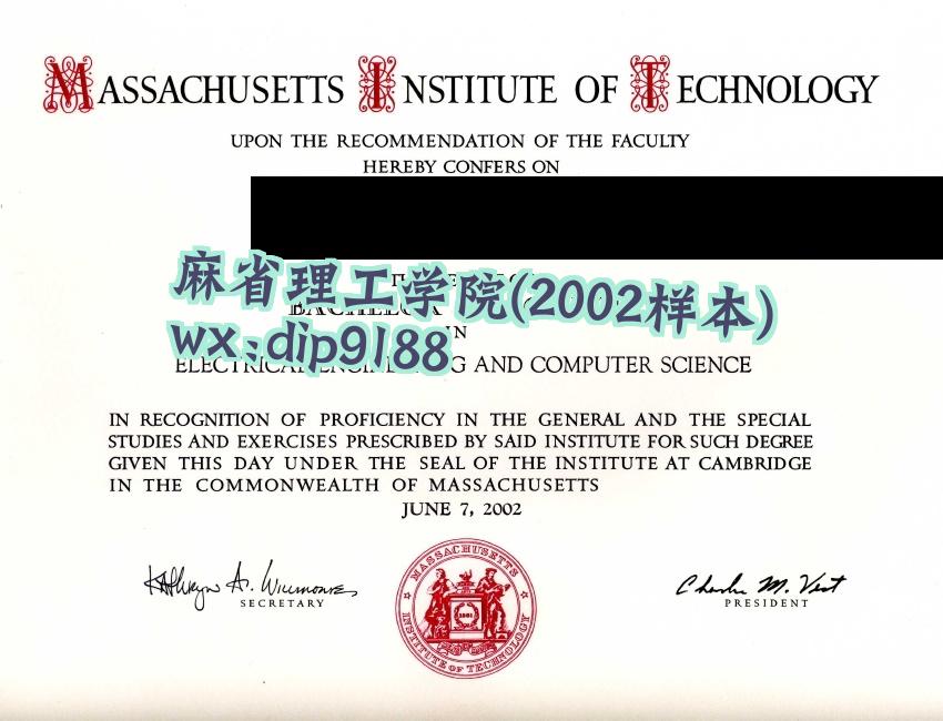 麻省理工学院学历2002毕业证样本图
