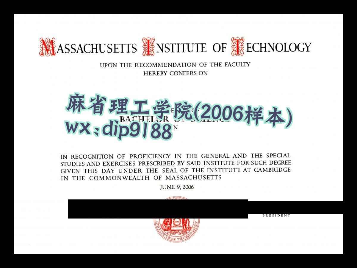 麻省理工学院学历2006毕业证样本图