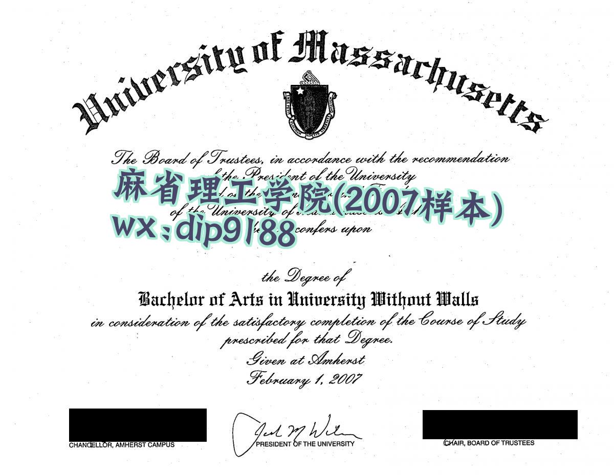 麻省理工学院学历2007毕业证样本图
