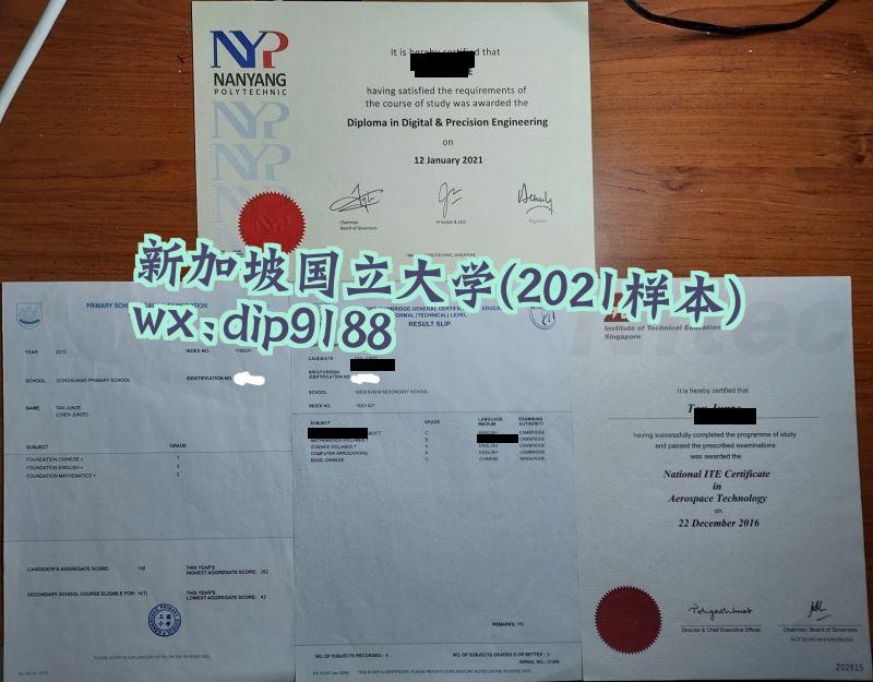 新加坡国立大学学历2021毕业证样本图