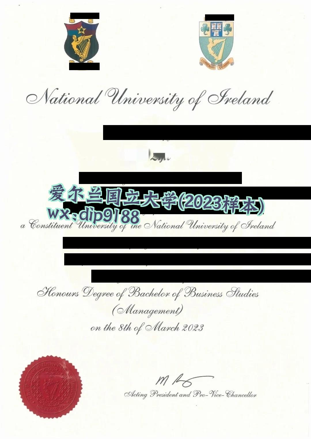 爱尔兰国立大学学历2023毕业证样本图