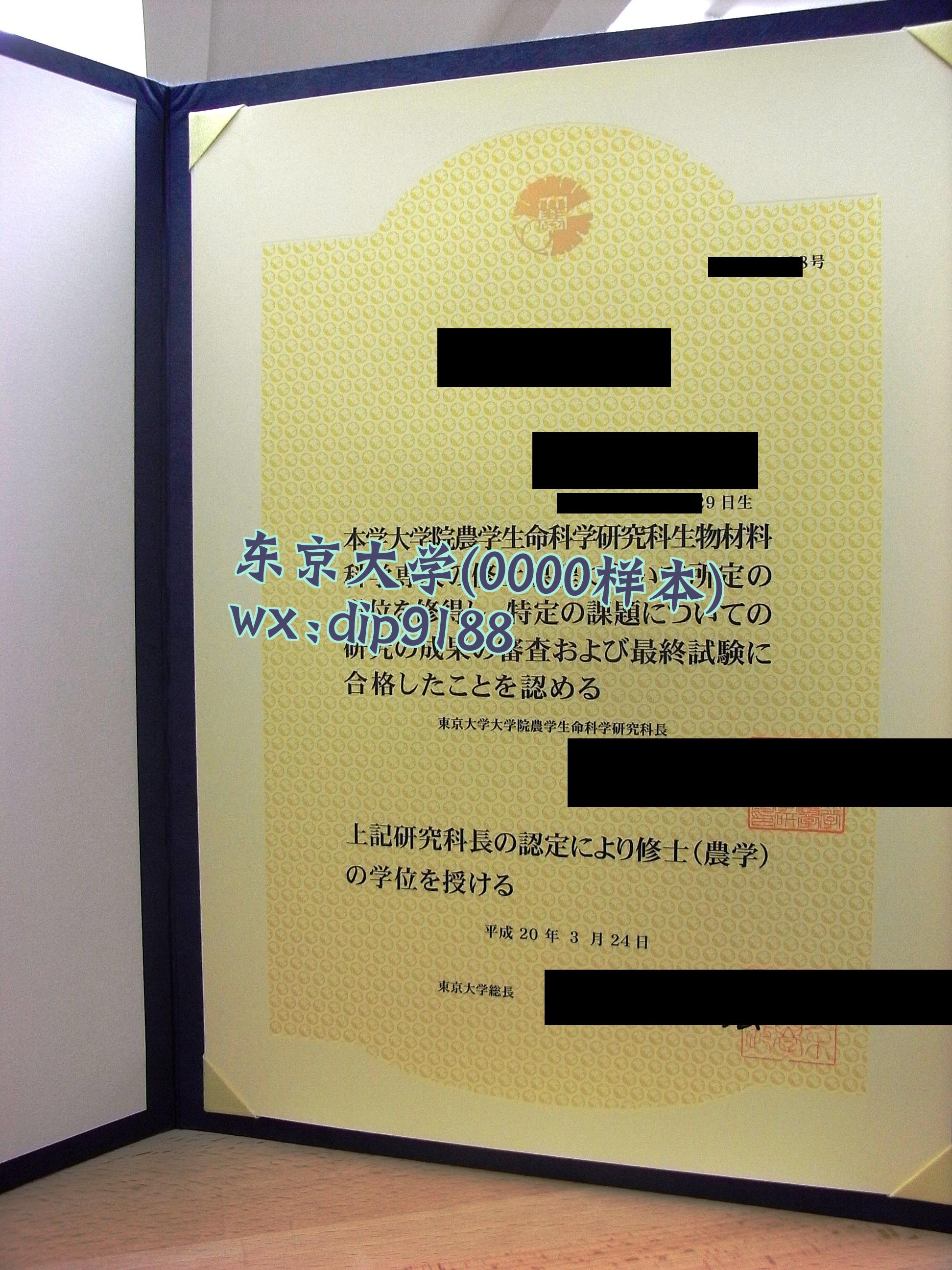 东京大学学历0000毕业证样本图