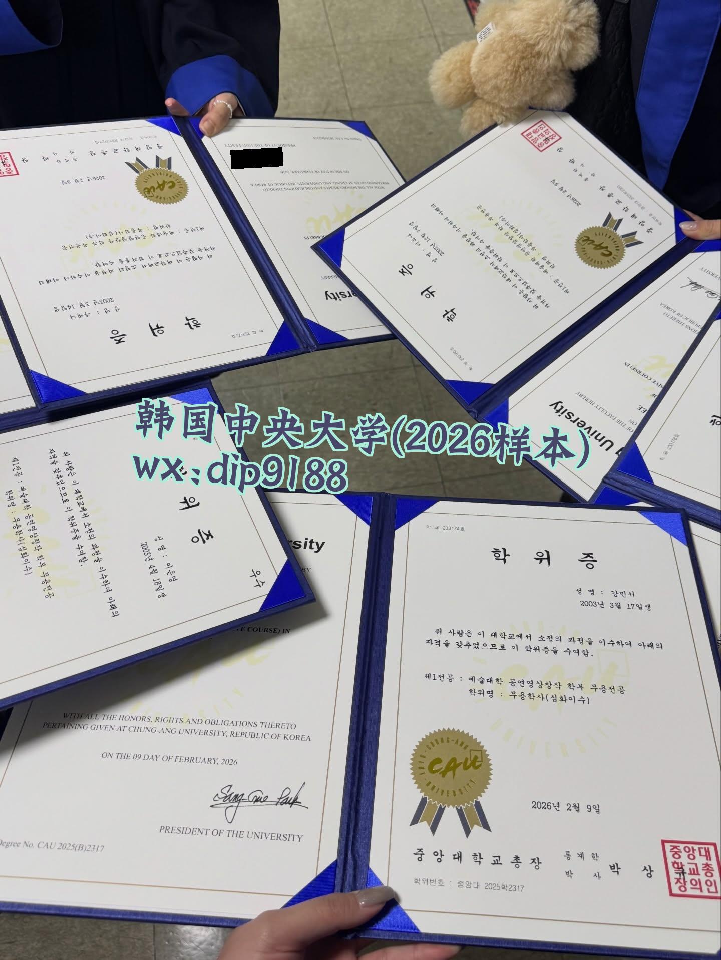 韩国中央大学学历2026毕业证样本图