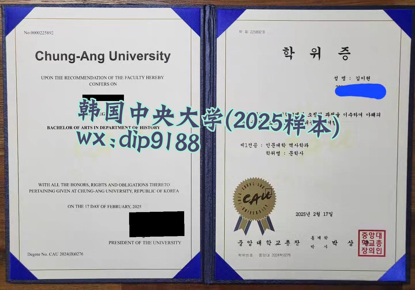韩国中央大学学历2025毕业证样本图