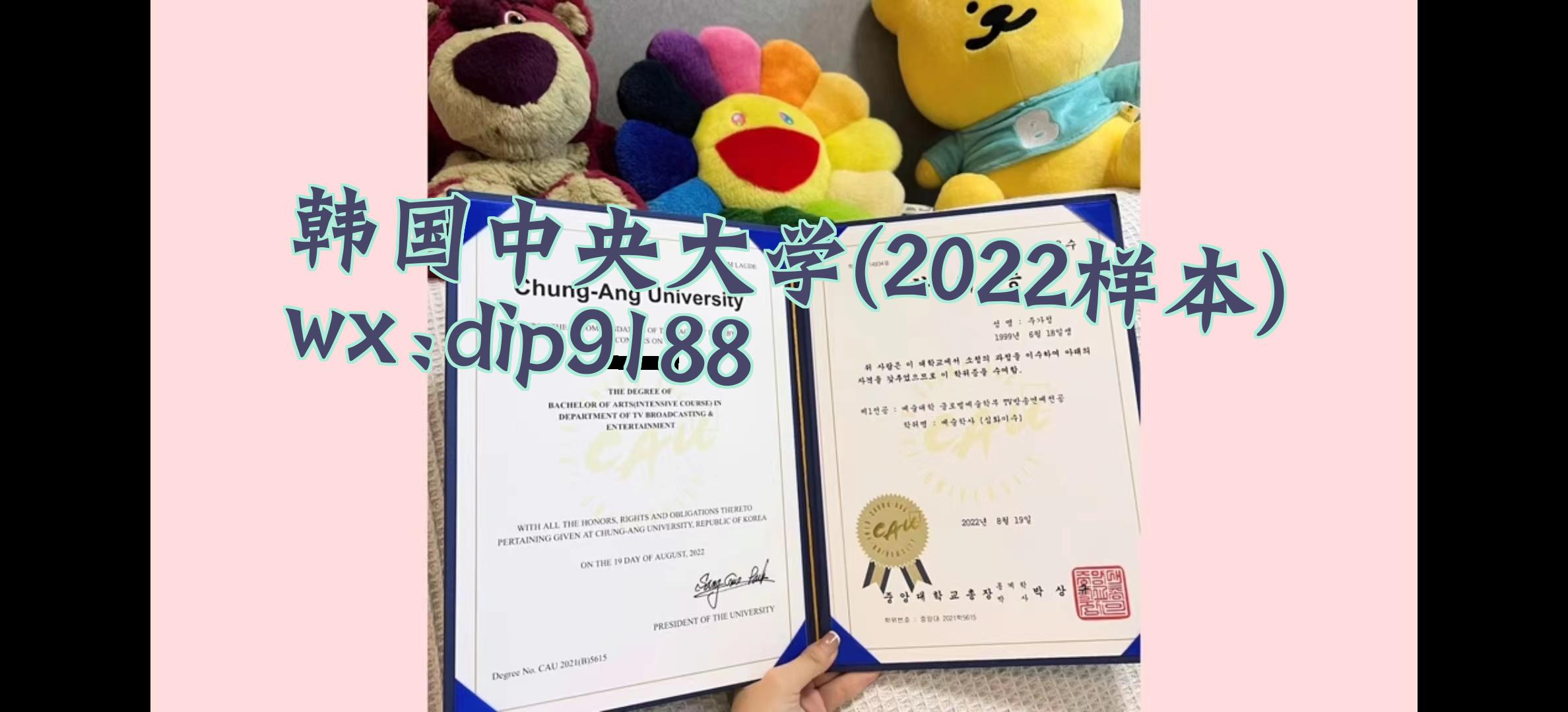 韩国中央大学学历2022毕业证样本图