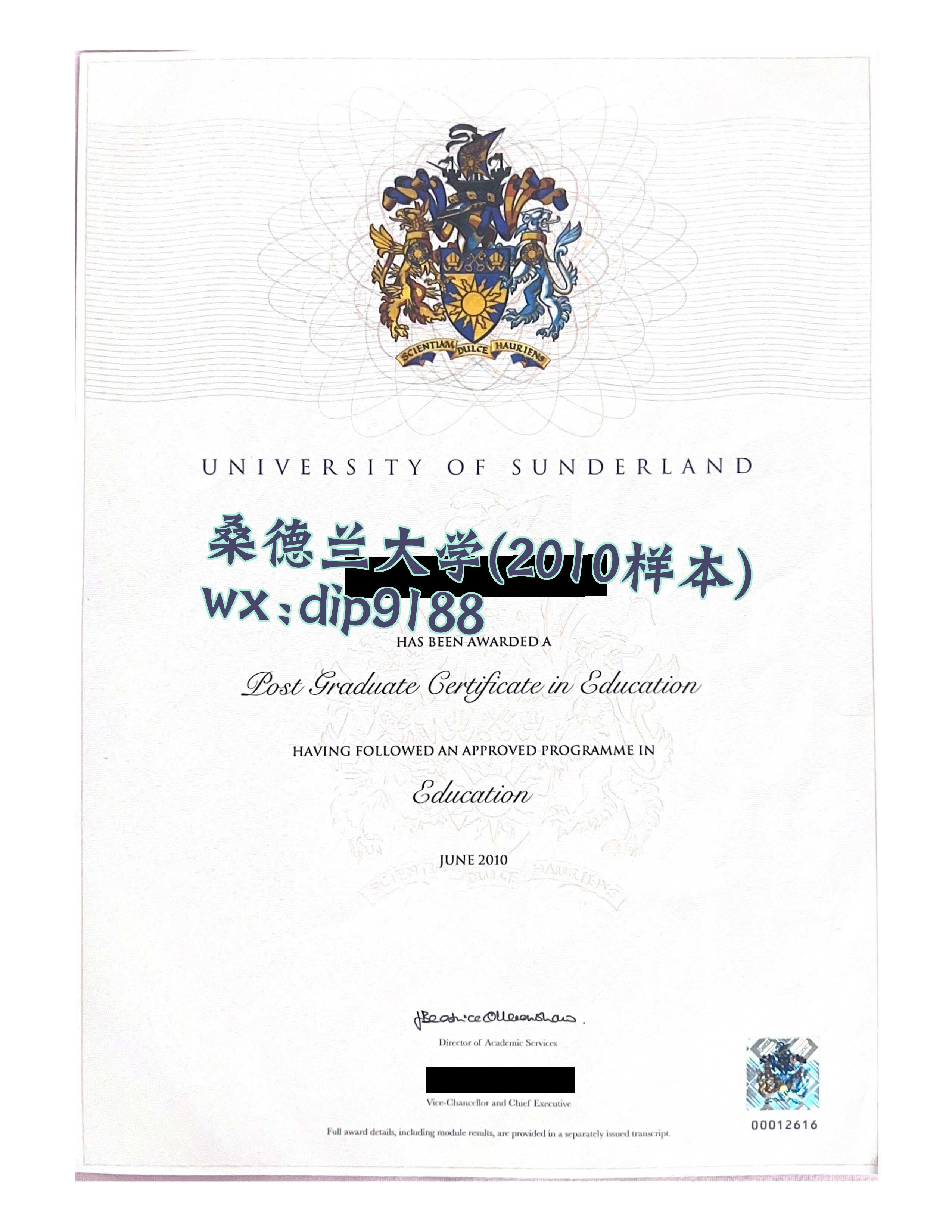 桑德兰大学学历2010毕业证样本图