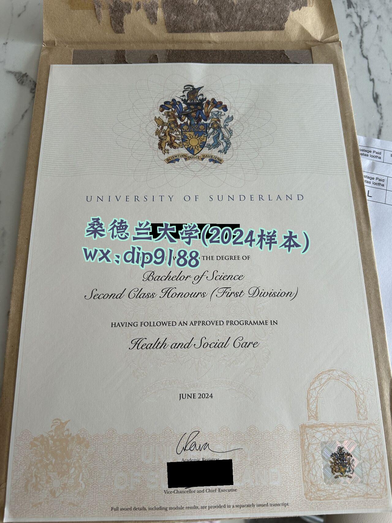 桑德兰大学学历2024毕业证样本图
