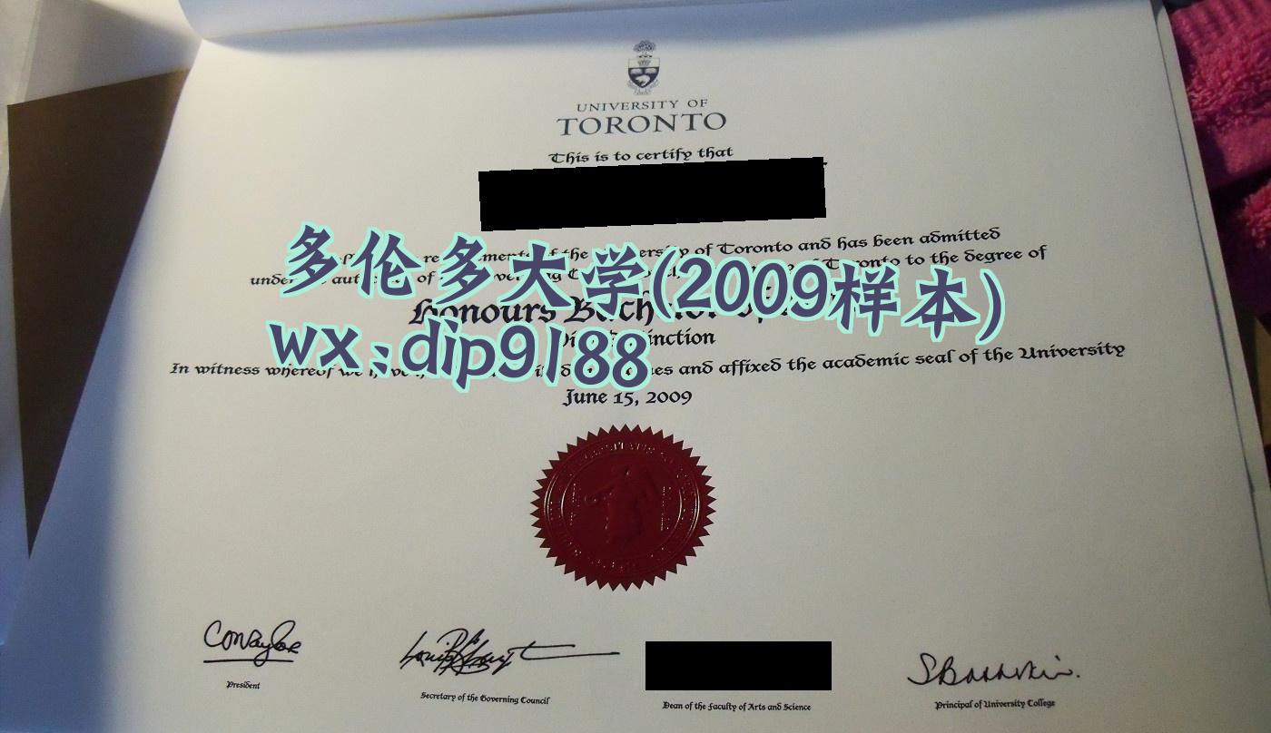 多伦多大学学历2009毕业证样本图