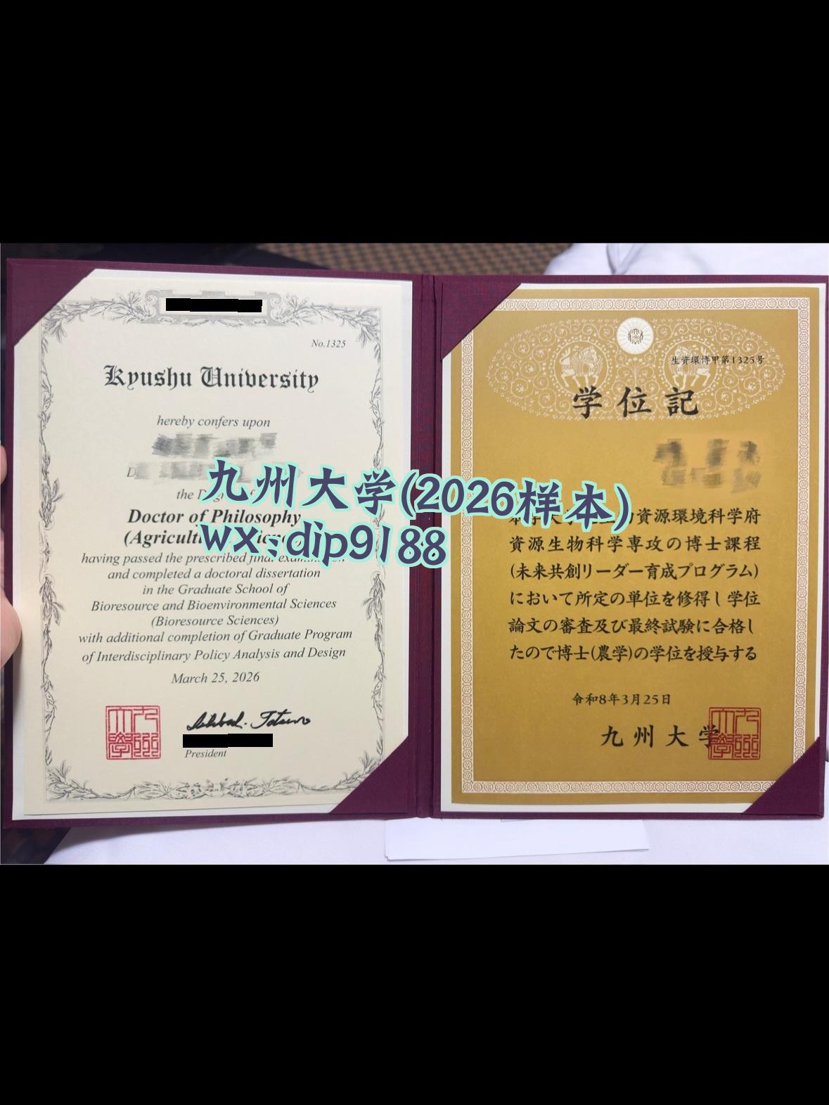 九州大学学历2026毕业证样本图