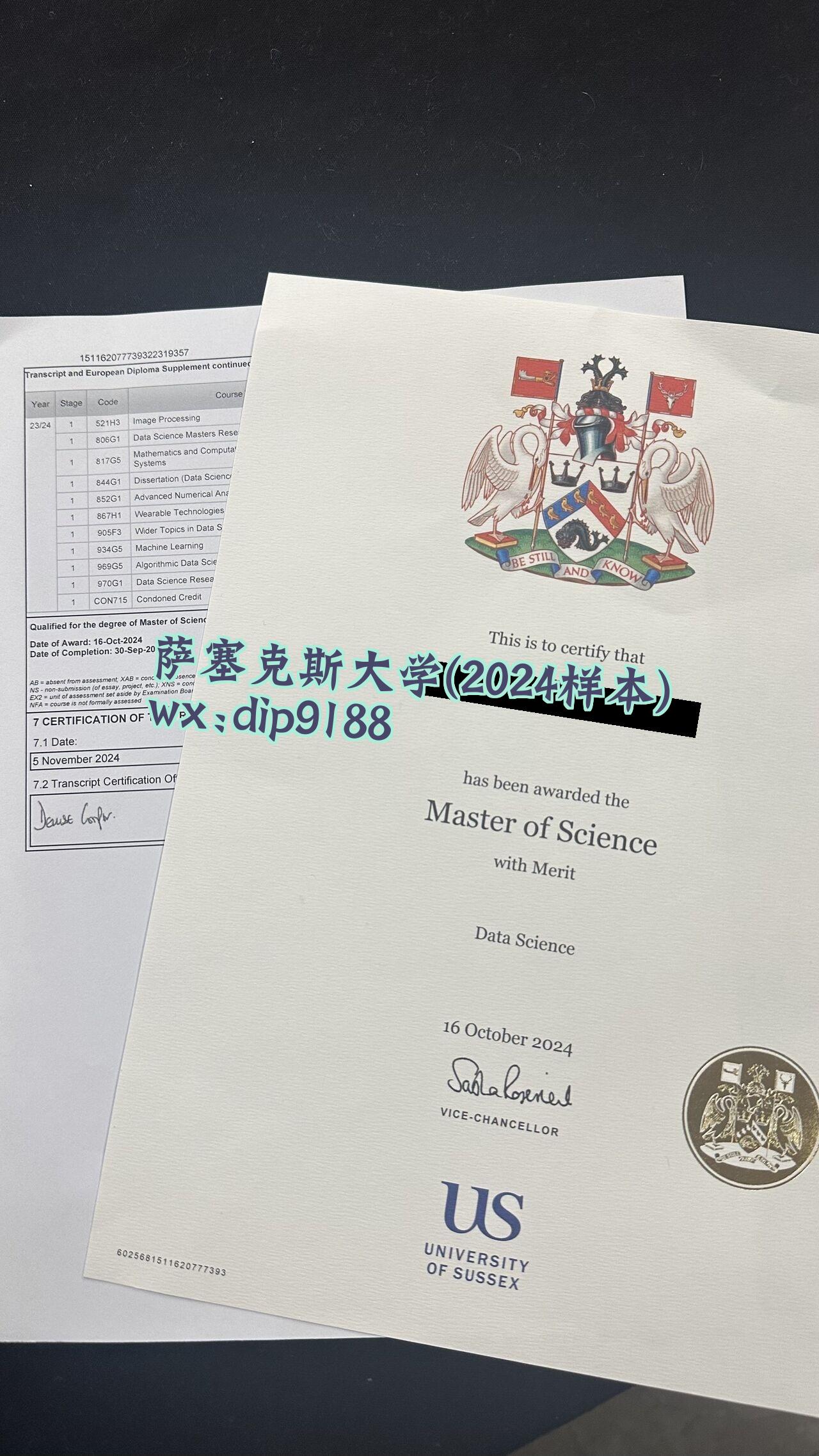 萨塞克斯大学学历2024毕业证样本图