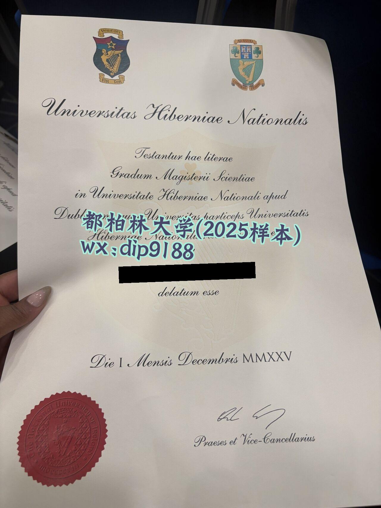 都柏林大学学历2025毕业证样本图