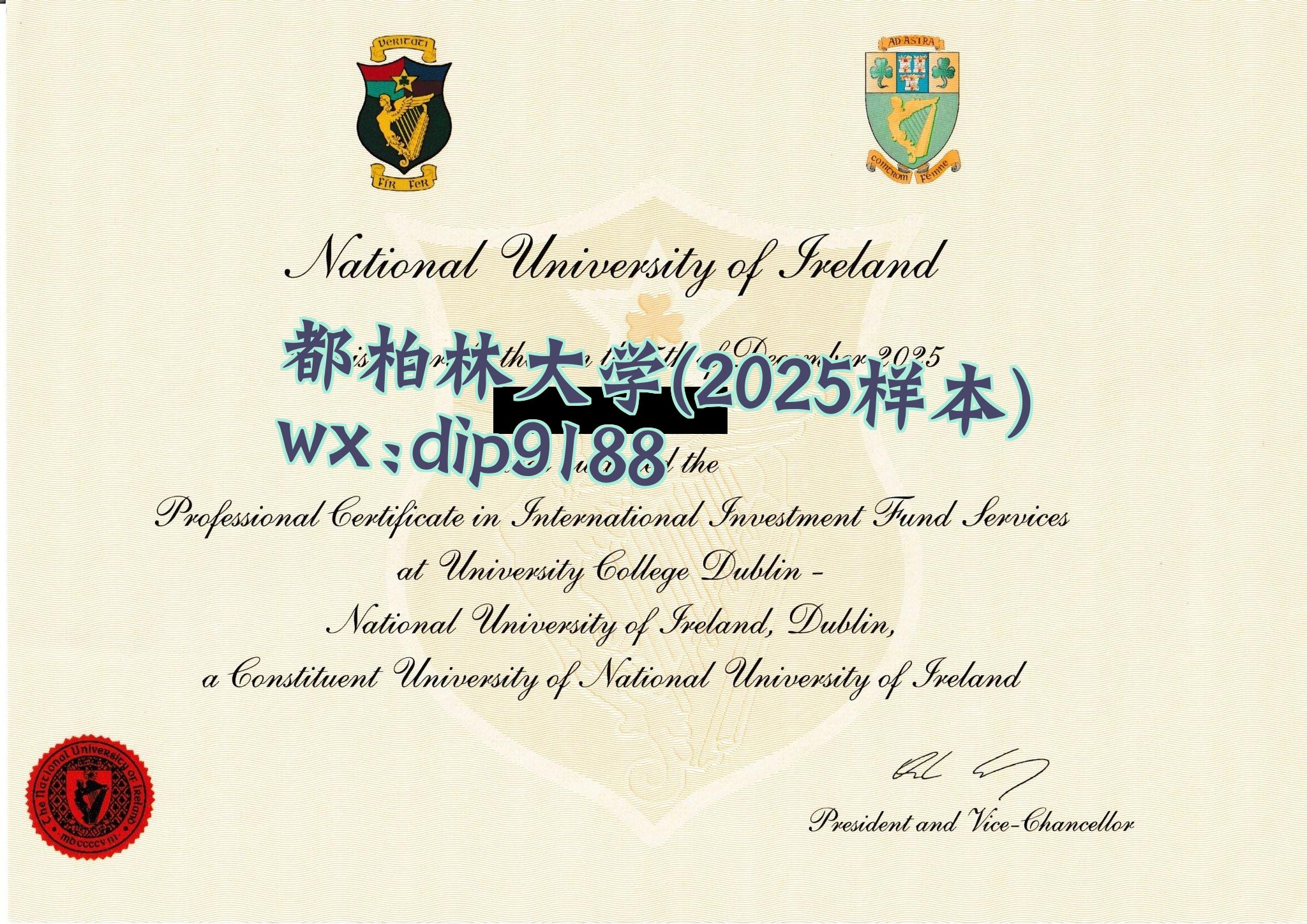 都柏林大学学历2025毕业证样本图