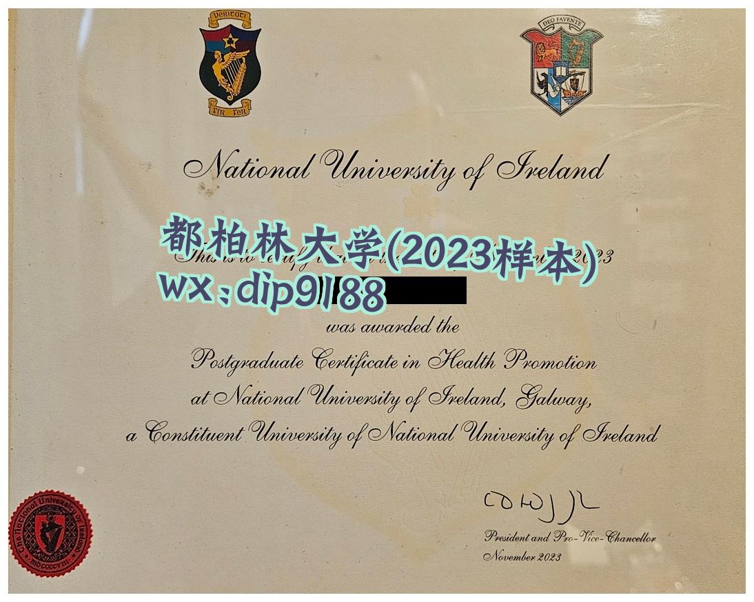 都柏林大学学历2023毕业证样本图