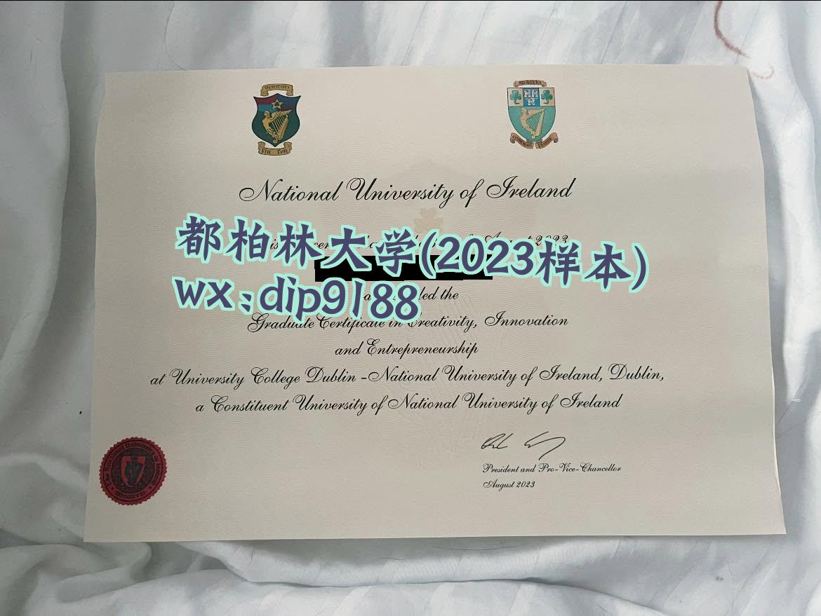 都柏林大学学历2023毕业证样本图