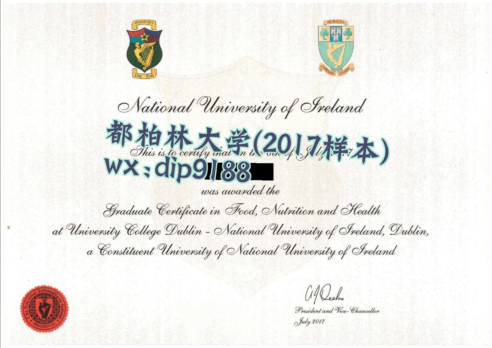 都柏林大学学历2017毕业证样本图