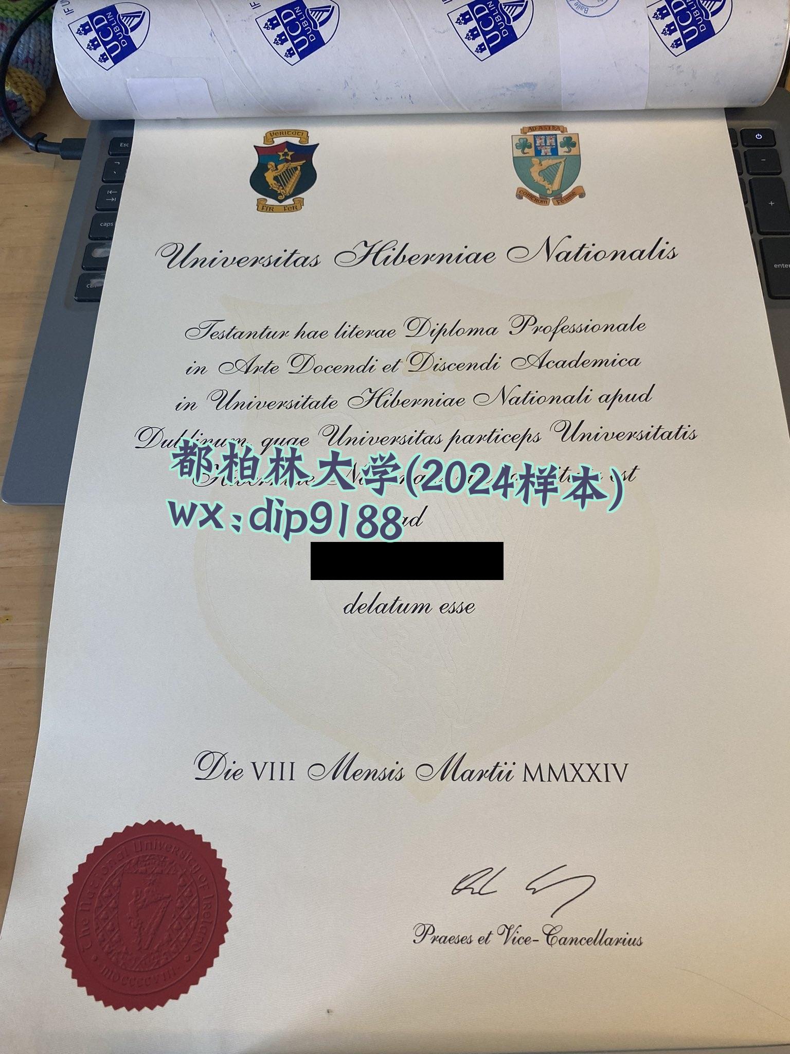 都柏林大学学历2024毕业证样本图