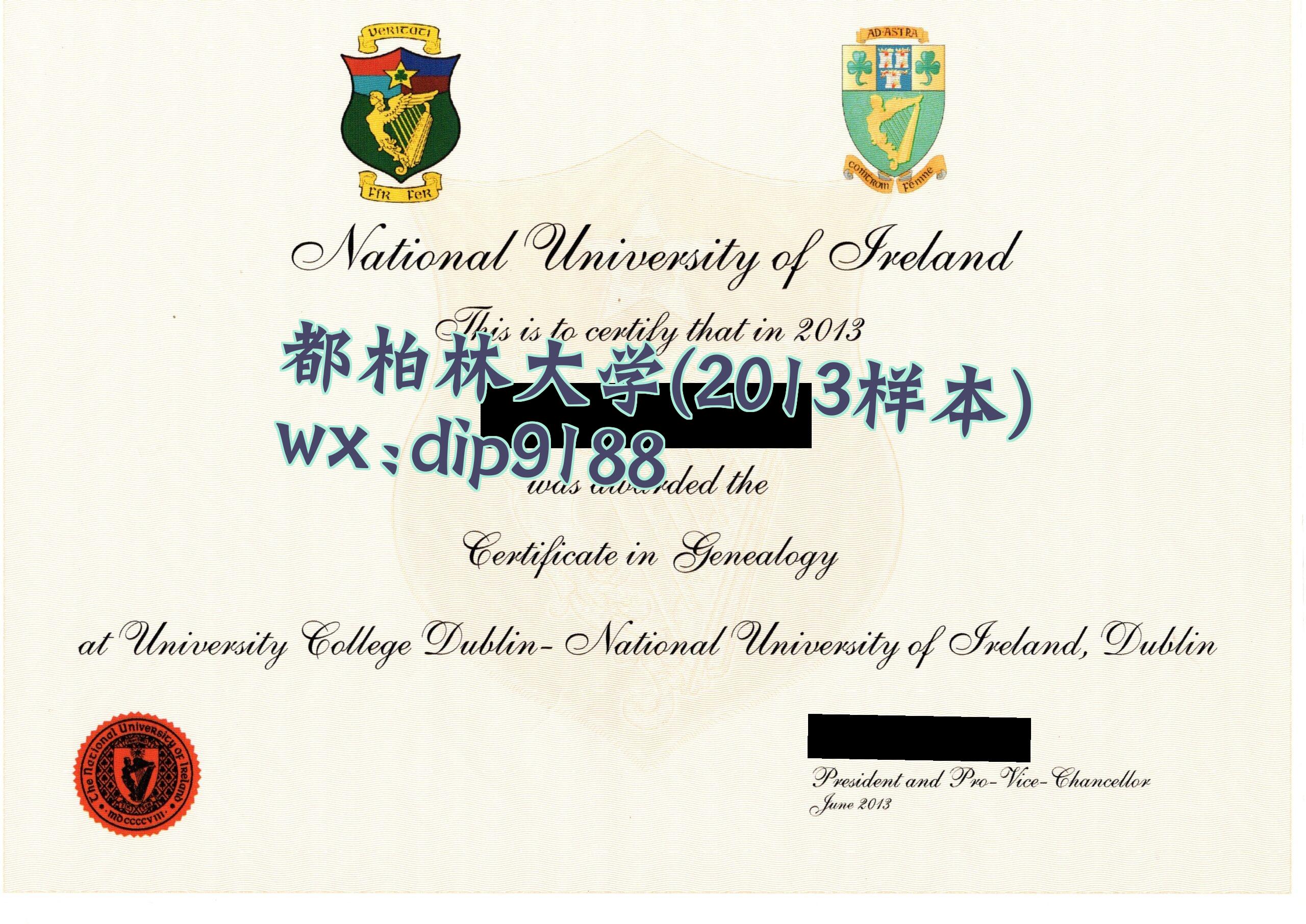 都柏林大学学历2013毕业证样本图