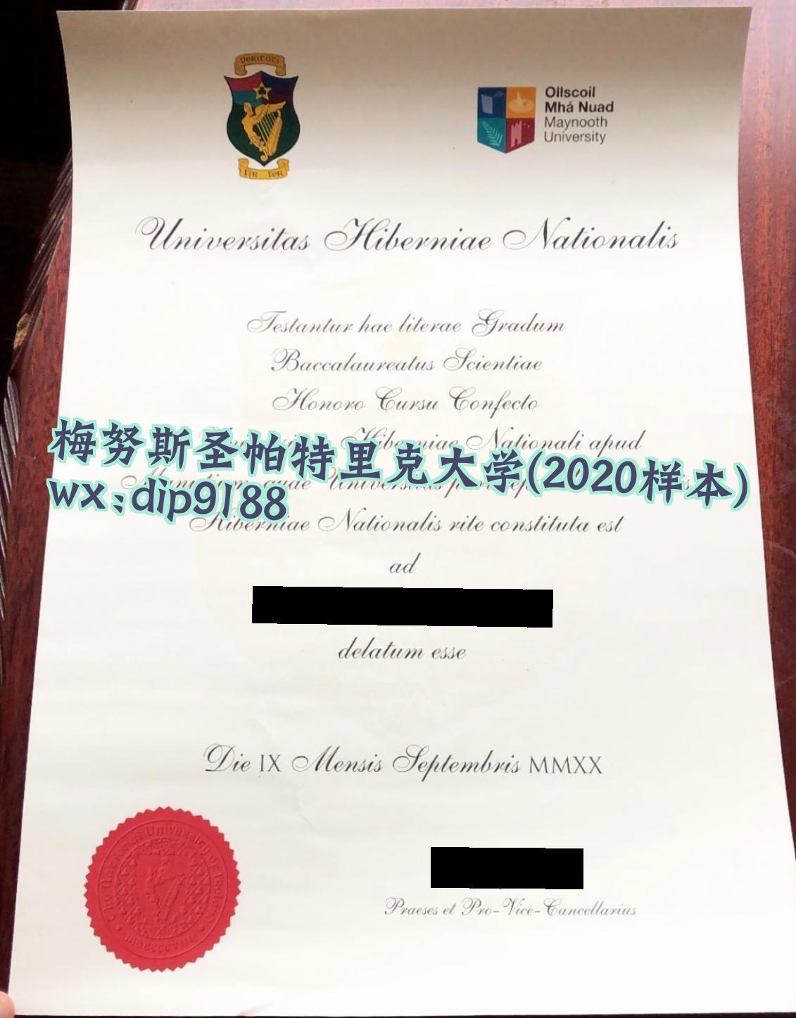 梅努斯圣帕特里克大学学历2020毕业证样本图