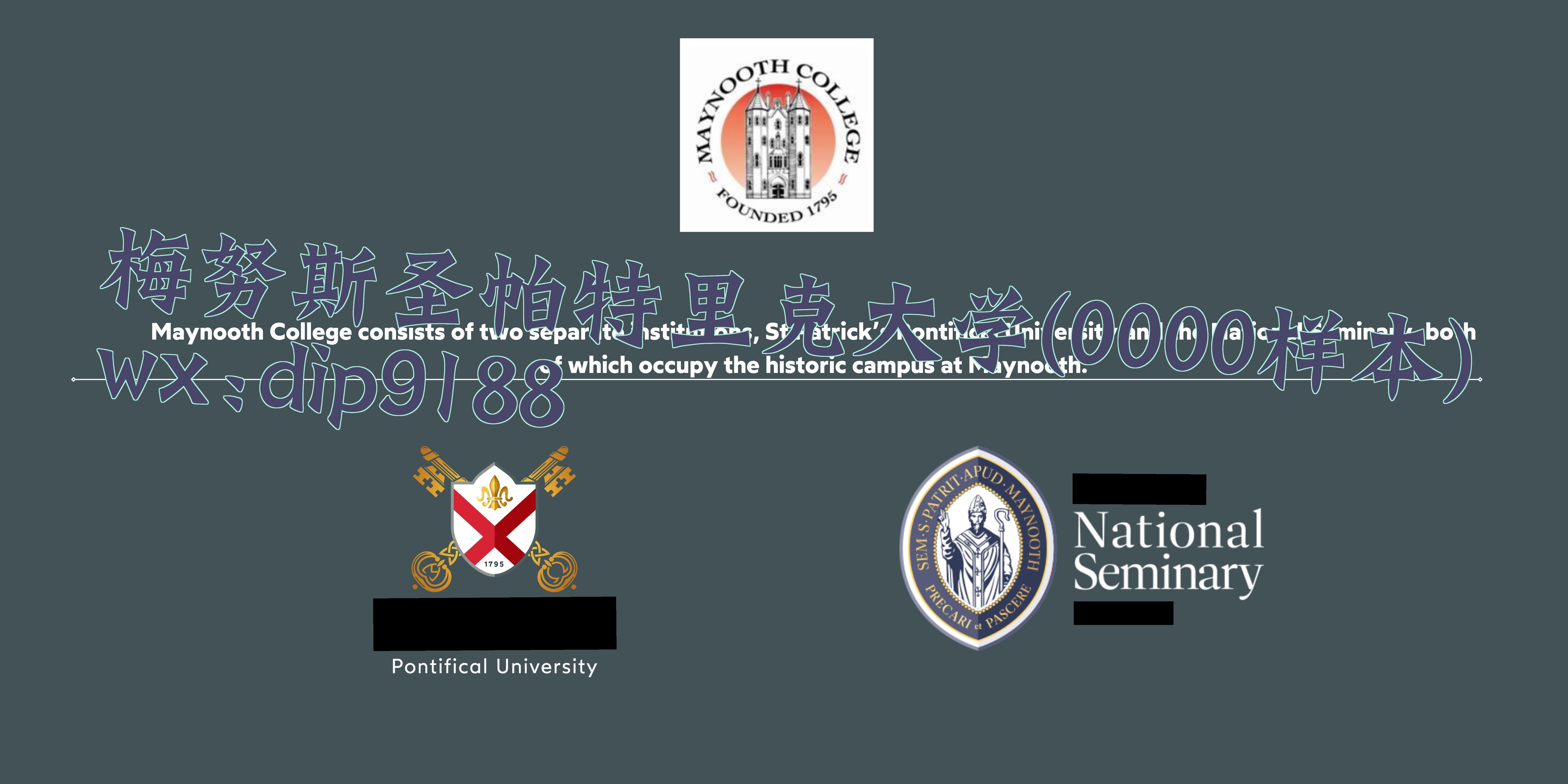 梅努斯圣帕特里克大学学历0000毕业证样本图