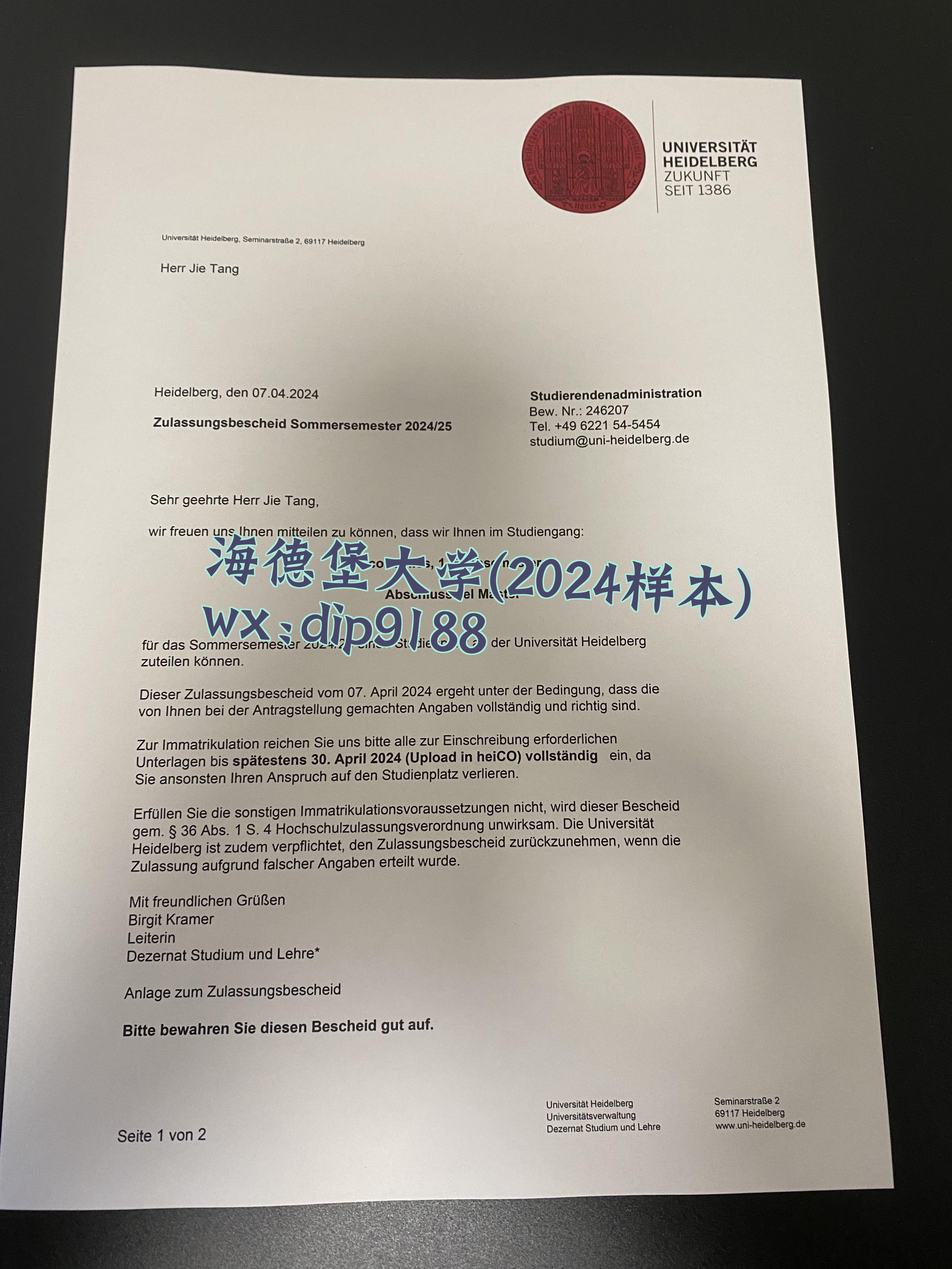 海德堡大学学历2024毕业证样本图