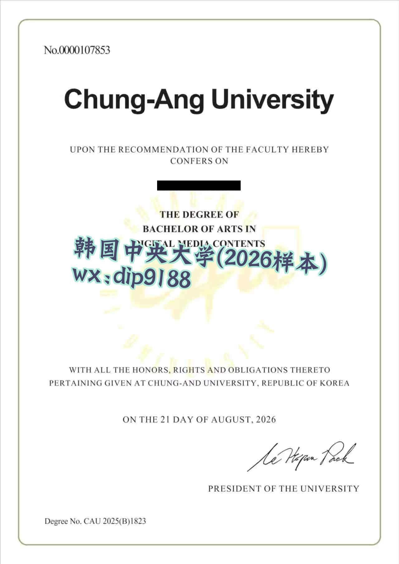 韩国中央大学学历2026毕业证样本图片