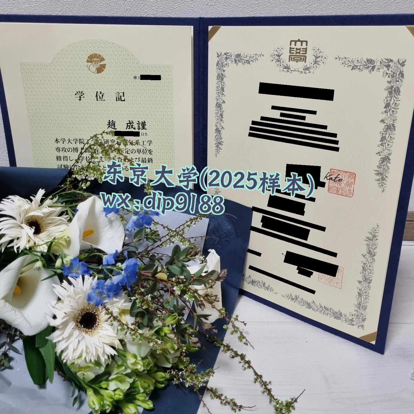 东京大学学历2025毕业证样本图片