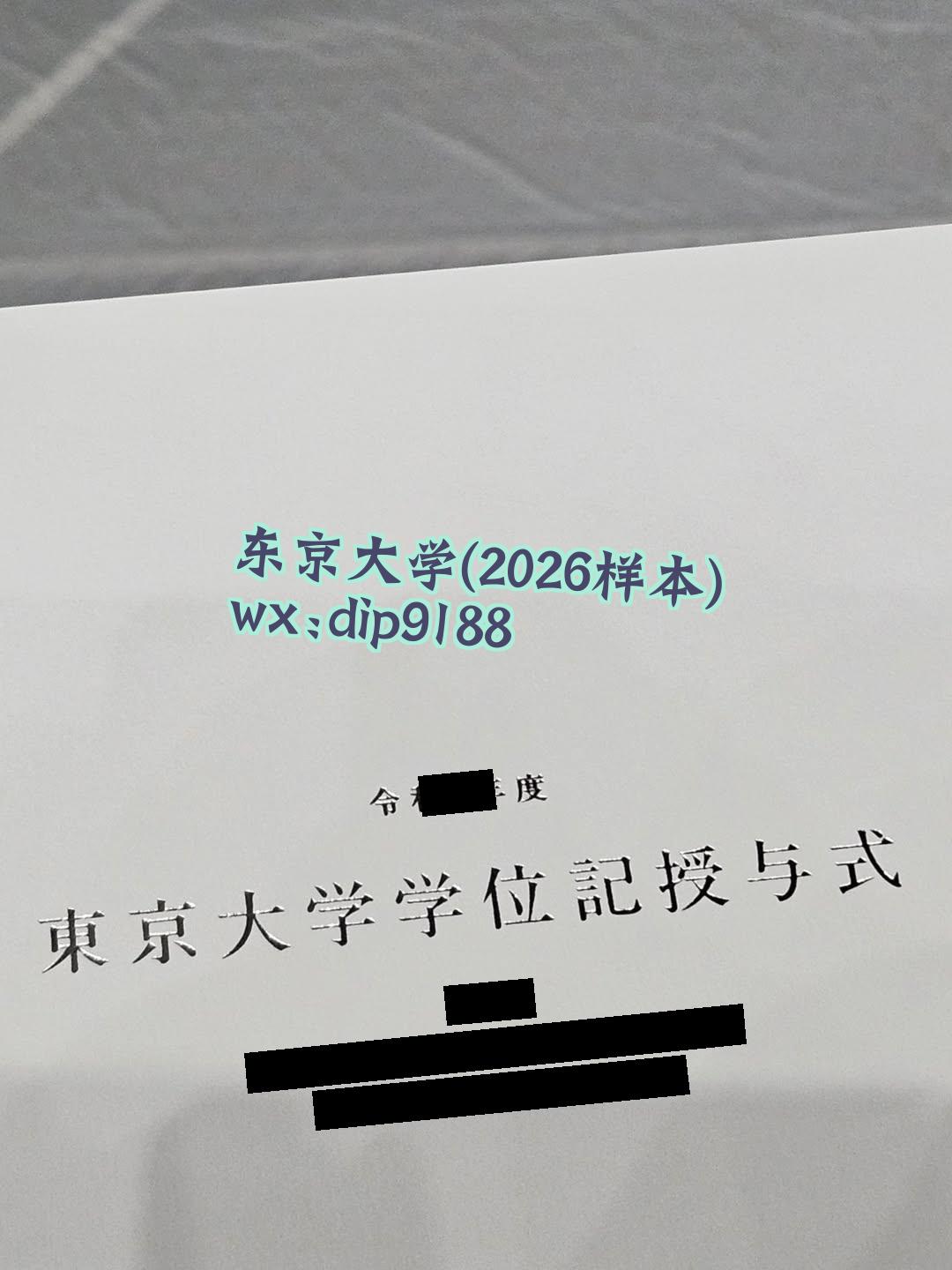 东京大学学历2026毕业证样本图片