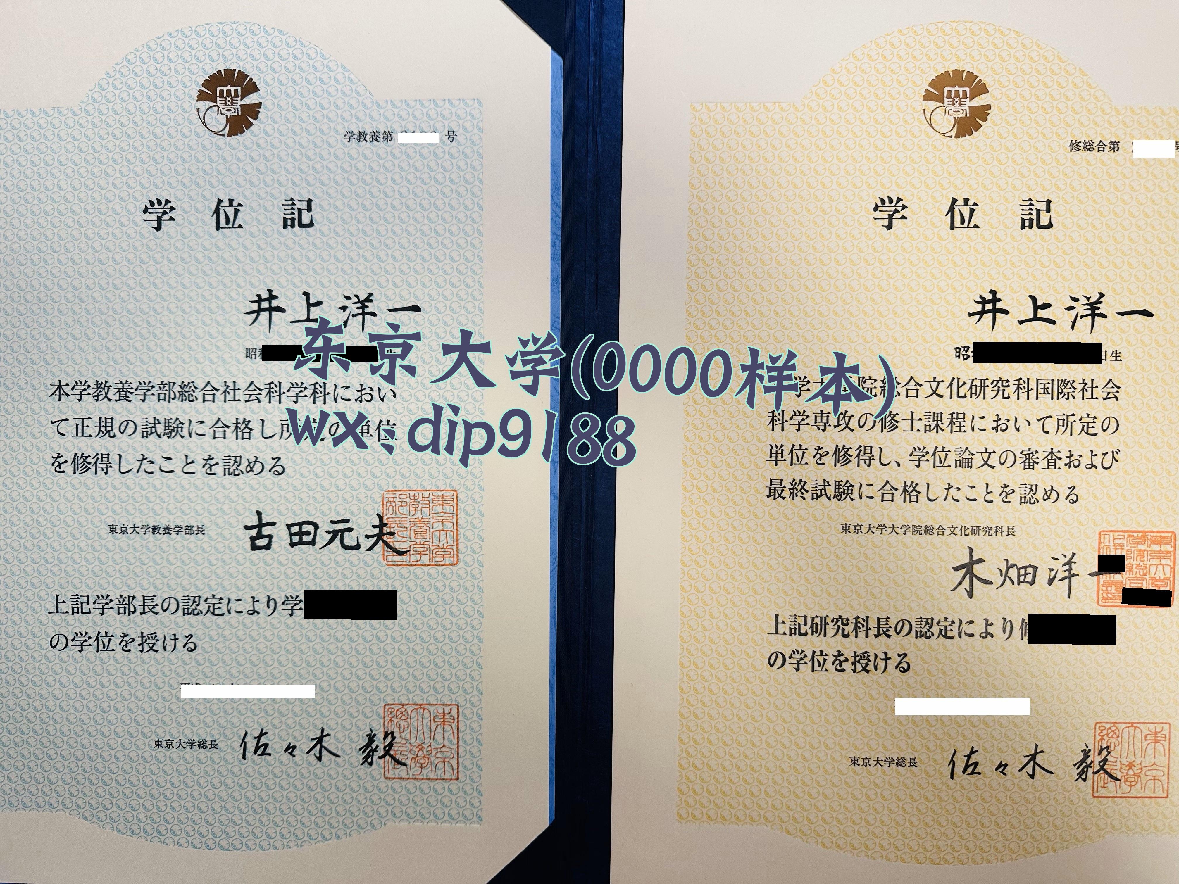 东京大学学历0000毕业证样本图片
