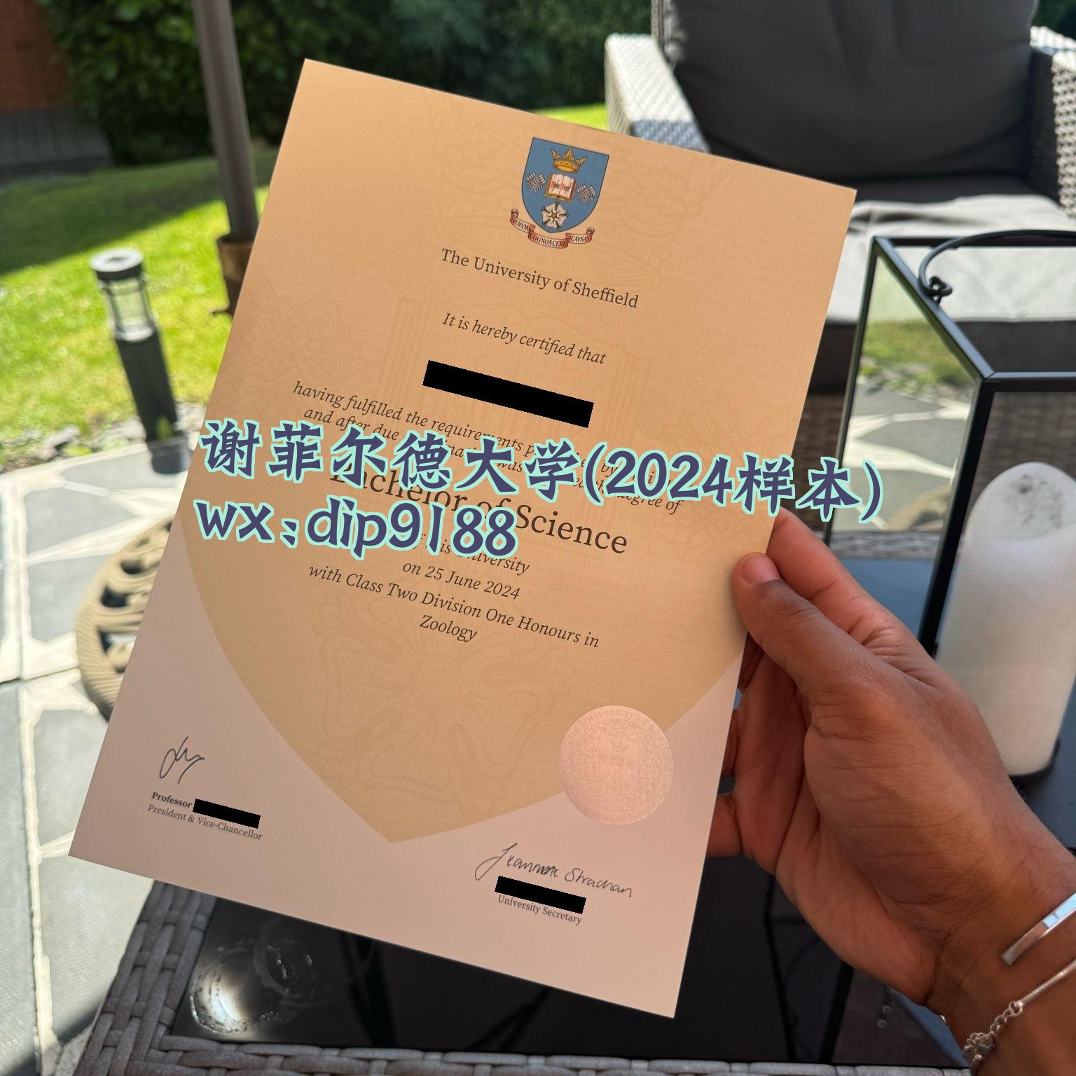 谢菲尔德大学学历2024毕业证样本图片