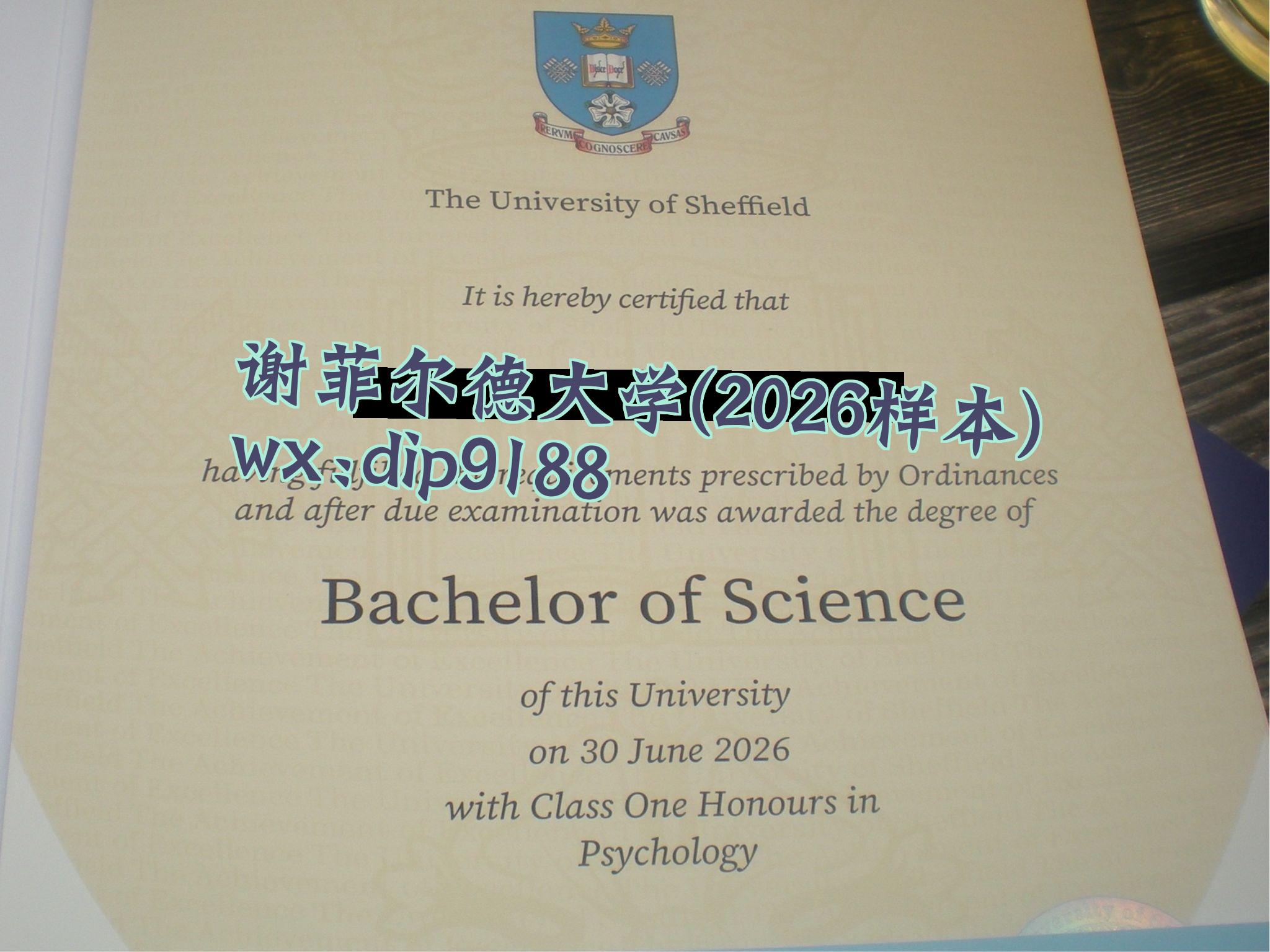 谢菲尔德大学学历2026毕业证样本图片