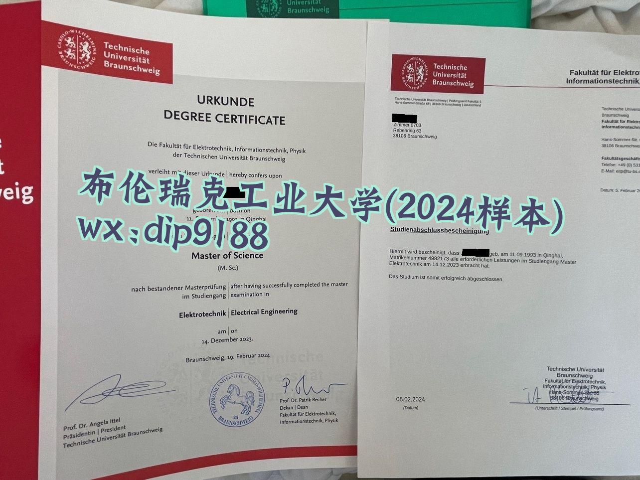 布伦瑞克工业大学学历2024毕业证样本图
