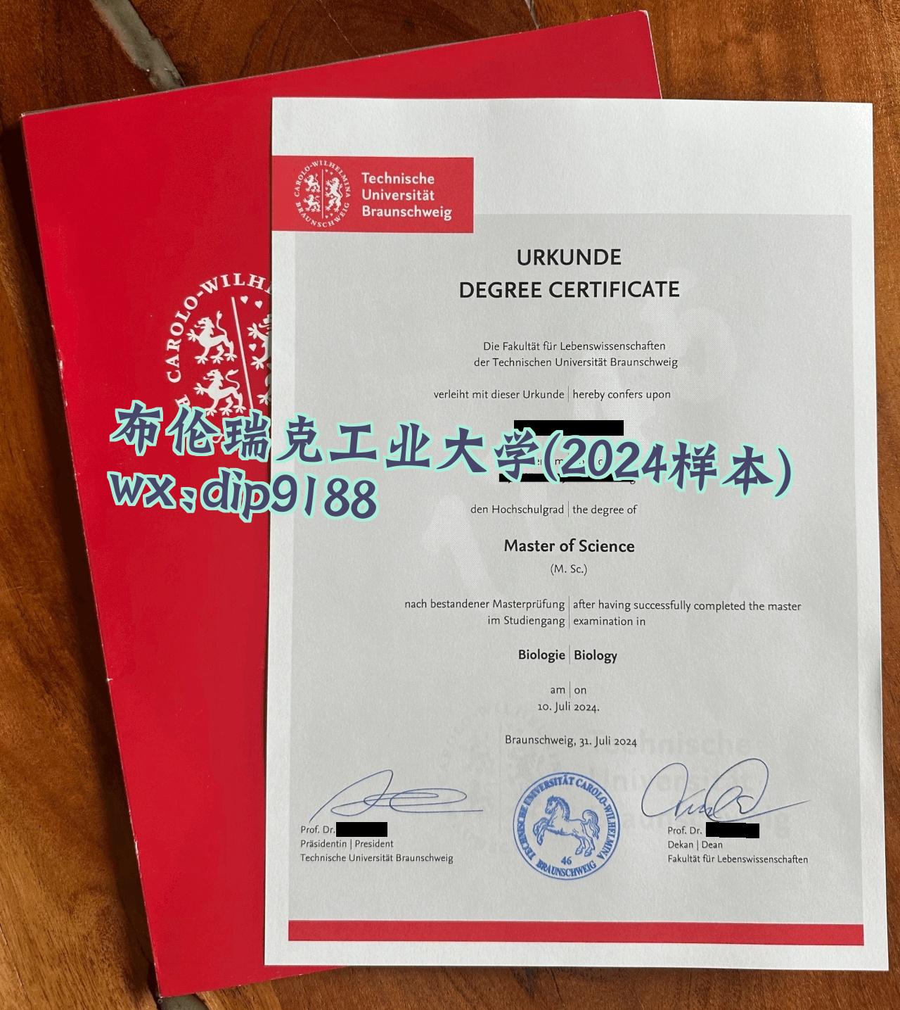 布伦瑞克工业大学学历2024毕业证样本图