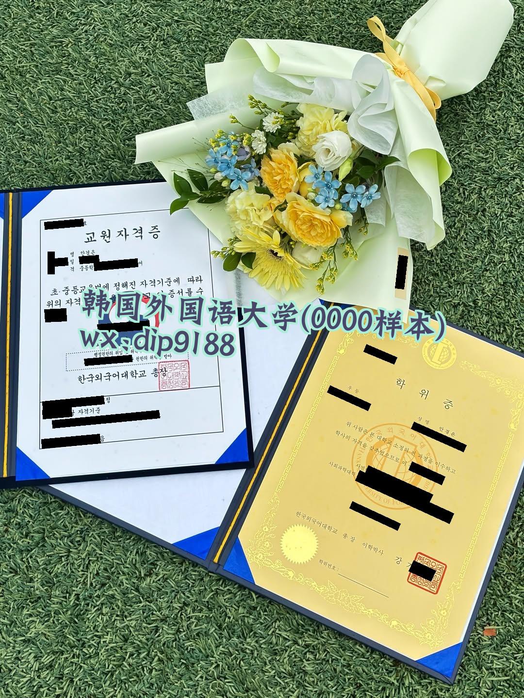 韩国外国语大学学历0000毕业证样本图片