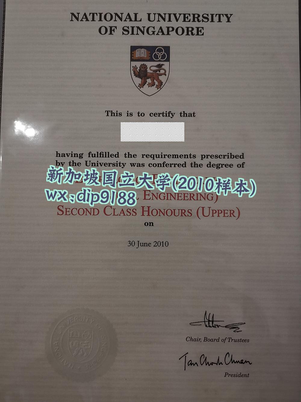 新加坡国立大学学历2010毕业证样本图