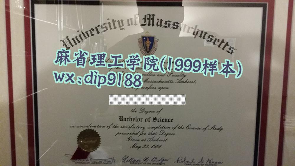 麻省理工学院学历1999毕业证样本图