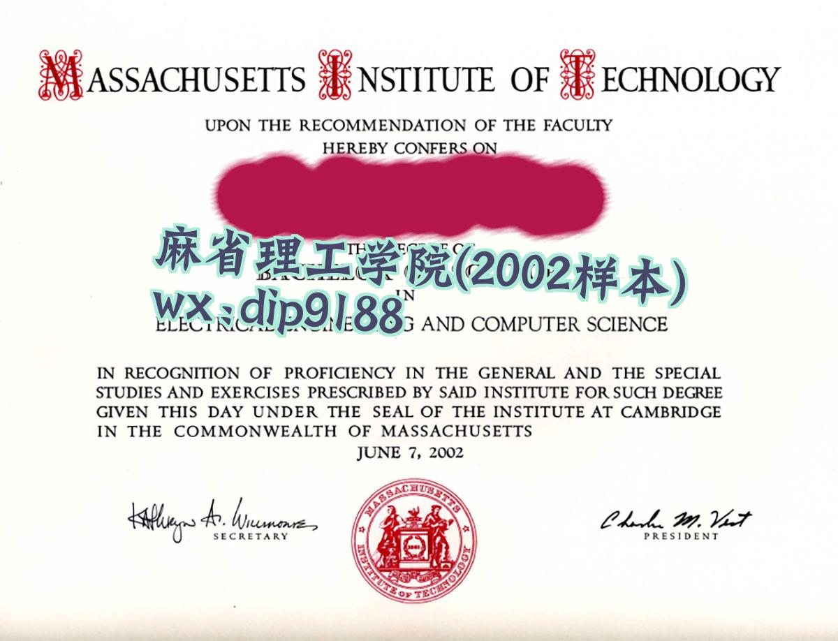 麻省理工学院学历2002毕业证样本图