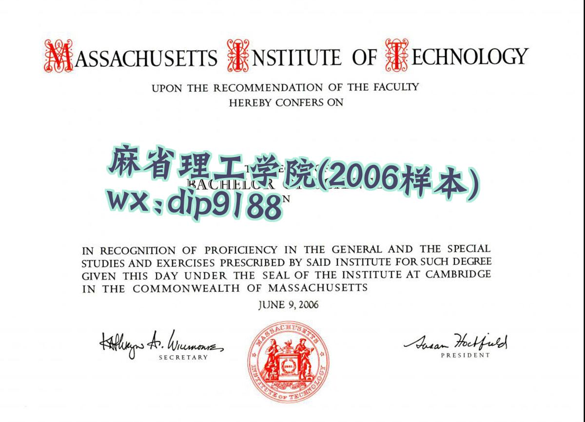 麻省理工学院学历2006毕业证样本图