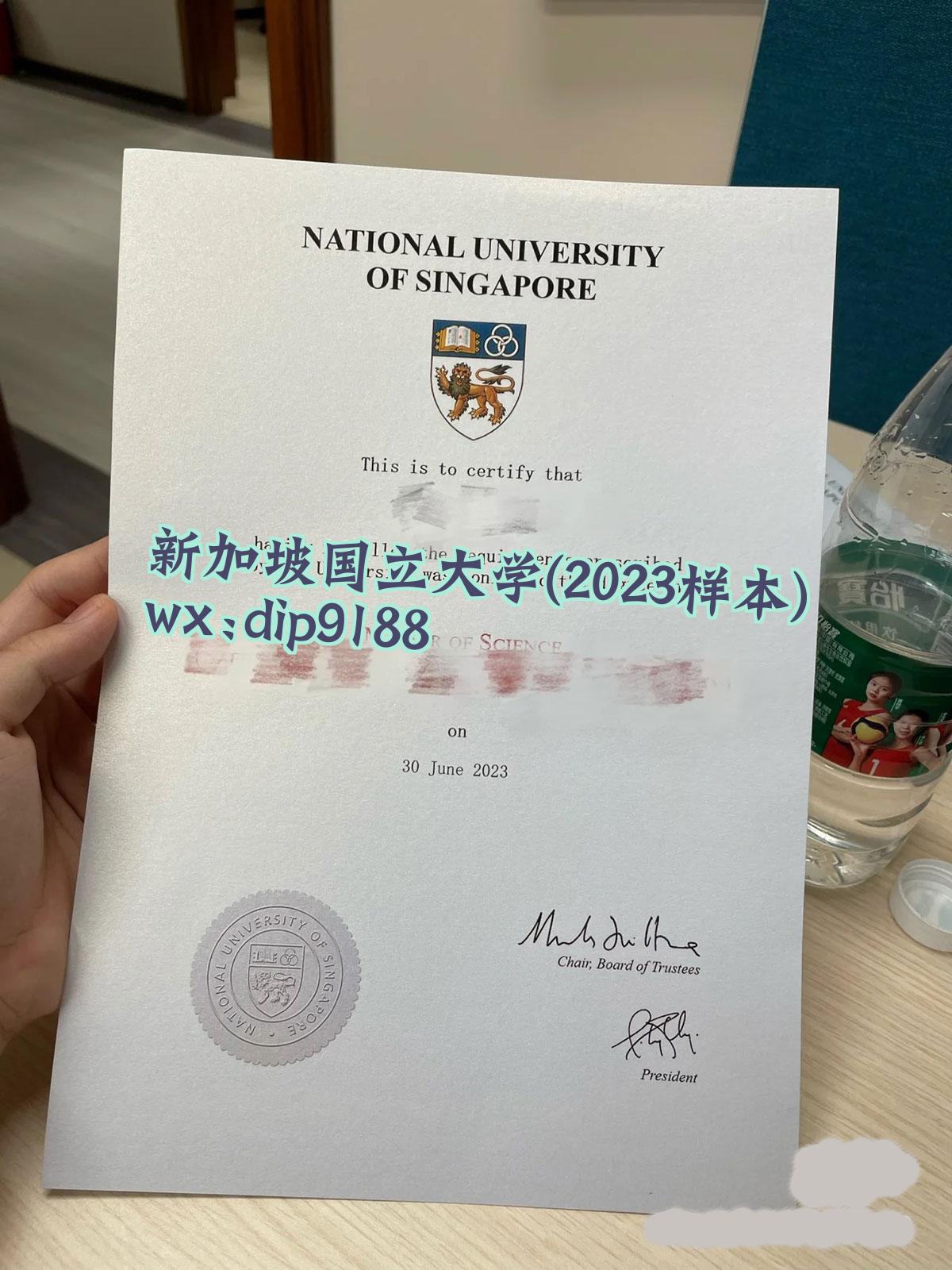 新加坡国立大学学历2023毕业证样本图