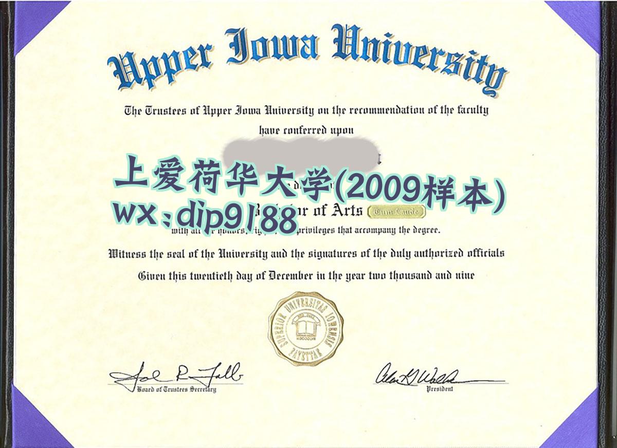 上爱荷华大学学历2009毕业证样本图