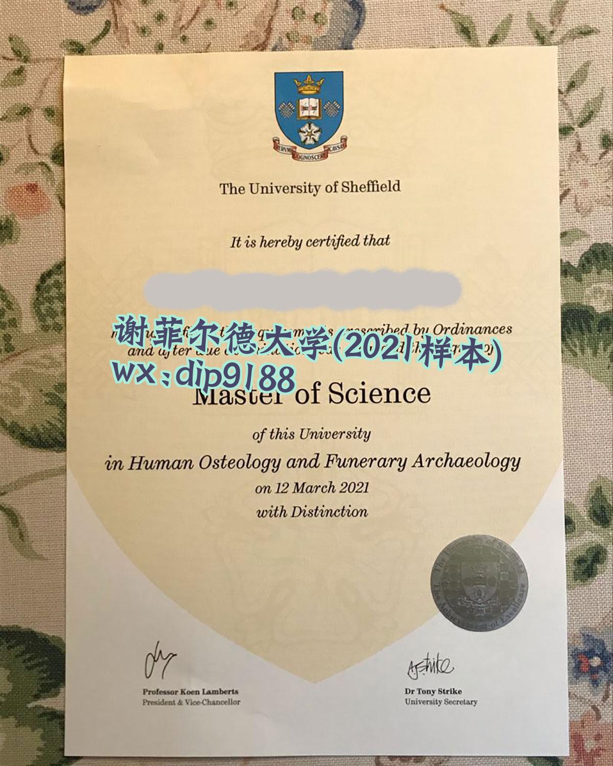 谢菲尔德大学学历2021毕业证样本图